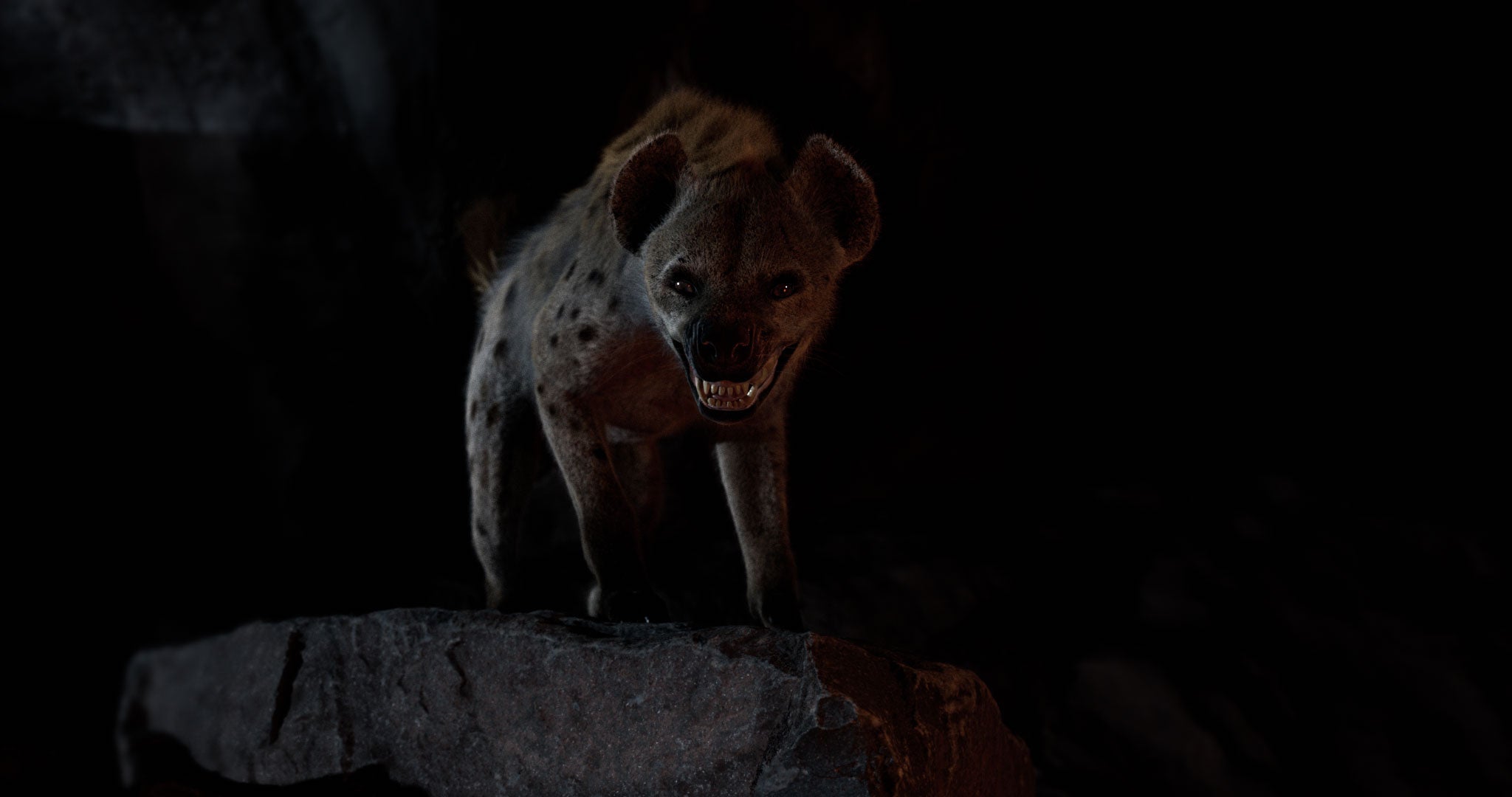 Shaka Ilembe wins again!